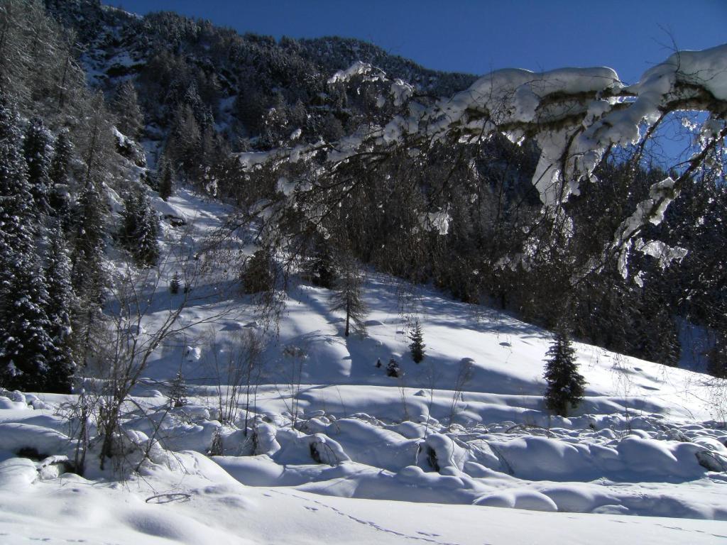 Albergo Thurwieser Santa Caterina Valfurva Dış mekan fotoğraf