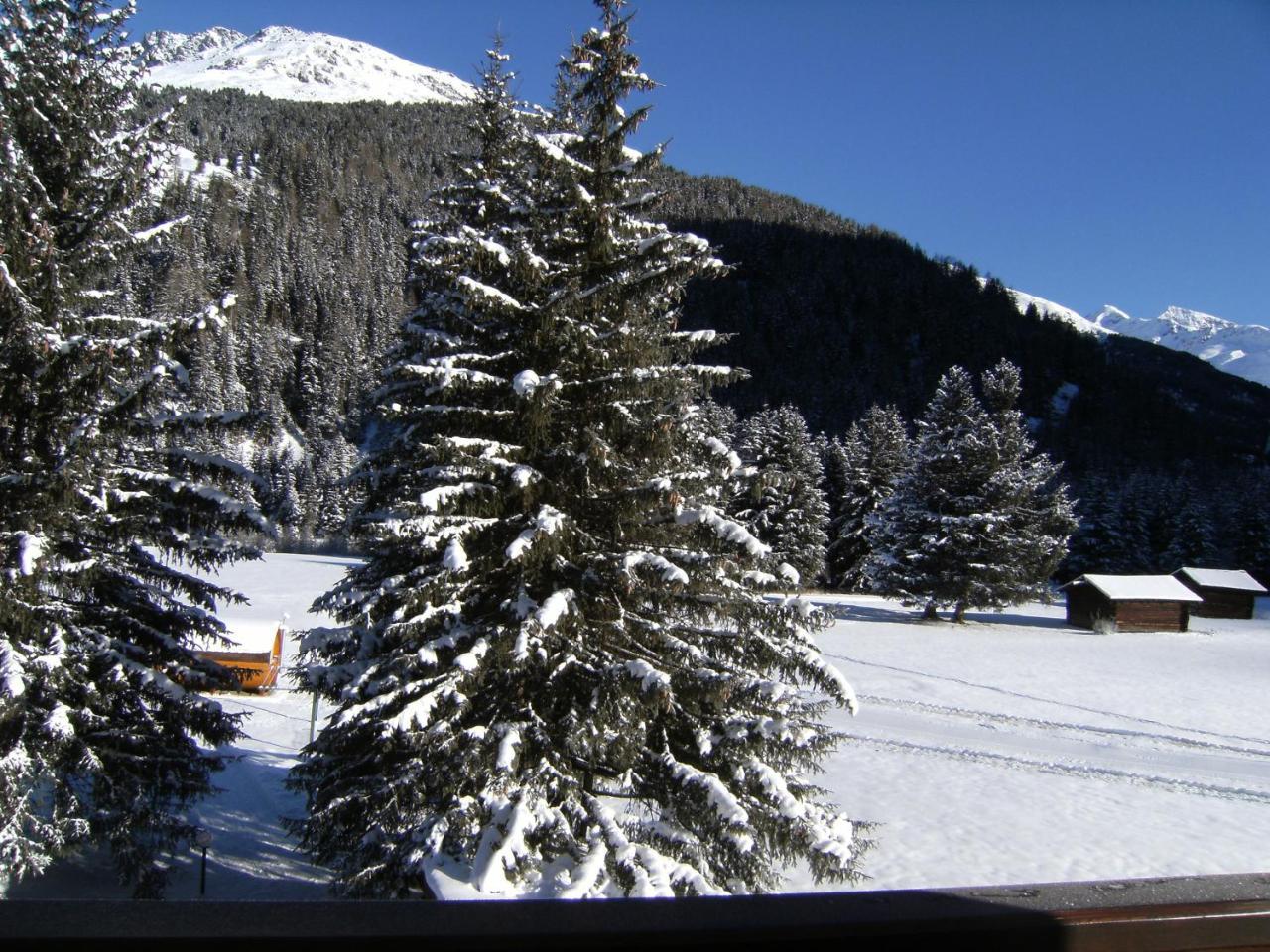 Albergo Thurwieser Santa Caterina Valfurva Dış mekan fotoğraf
