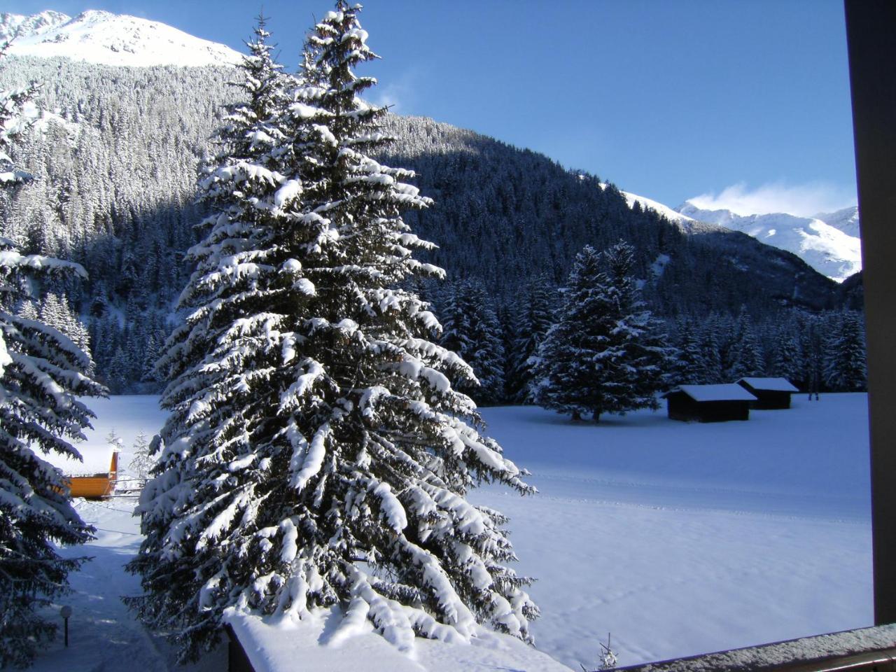 Albergo Thurwieser Santa Caterina Valfurva Dış mekan fotoğraf